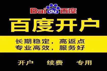 百度广告推广案例：拓展市场份额